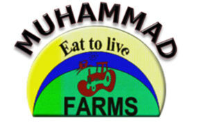 Muhammad FArms